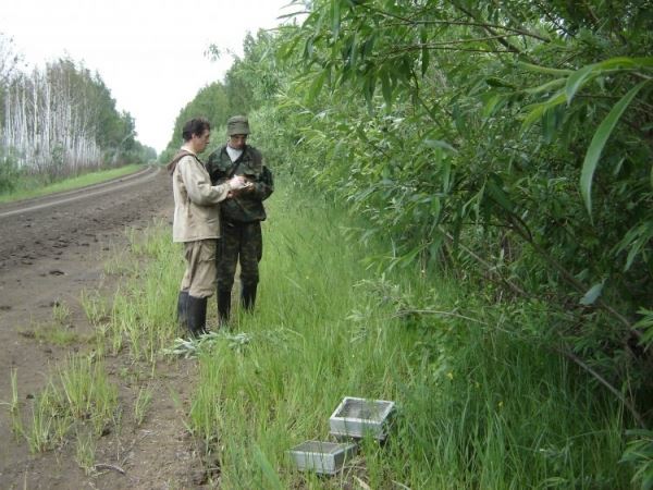 
				Какие факторы семейного окружения влияют на поведение водяных полевок?	